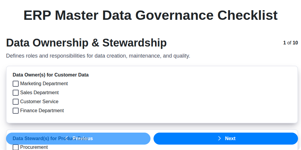 erp master data governance checklist screenshot